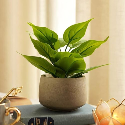 Indoor Artificial Plant